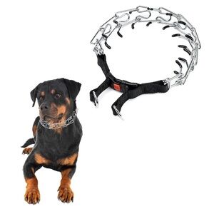 Adjustable Silver Dog Prong Collar